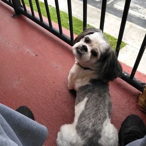 Meet your Posher, Reginald